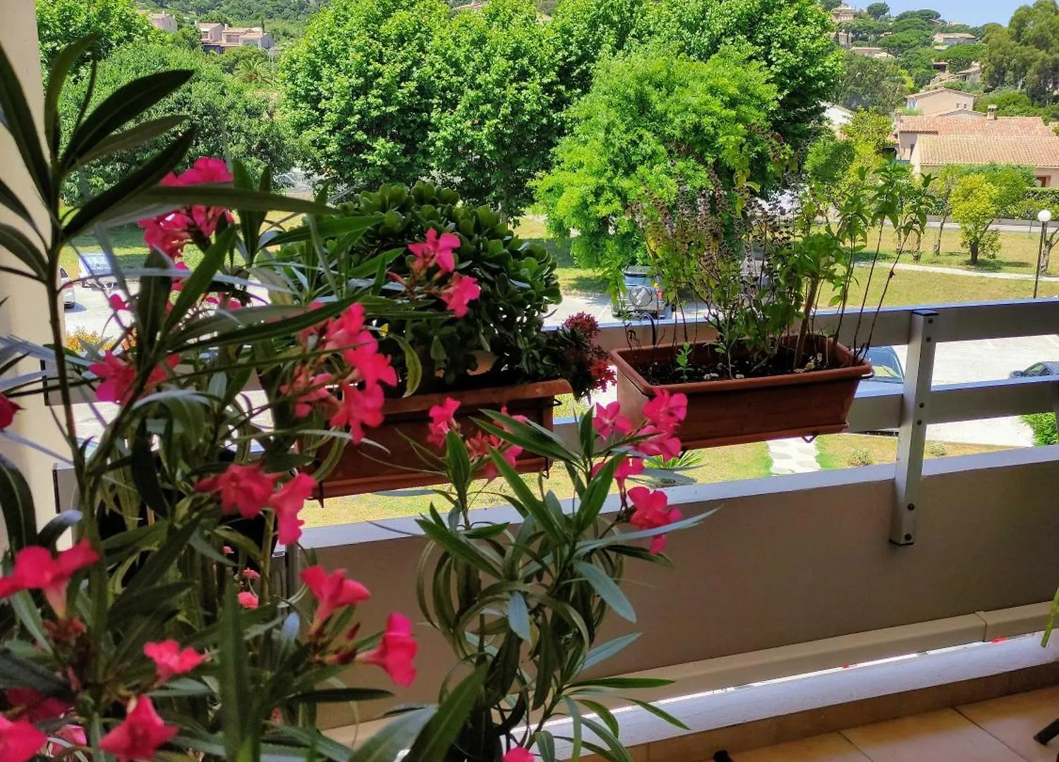 Residence Les Jardins De La Mer Sainte-Maxime Daire